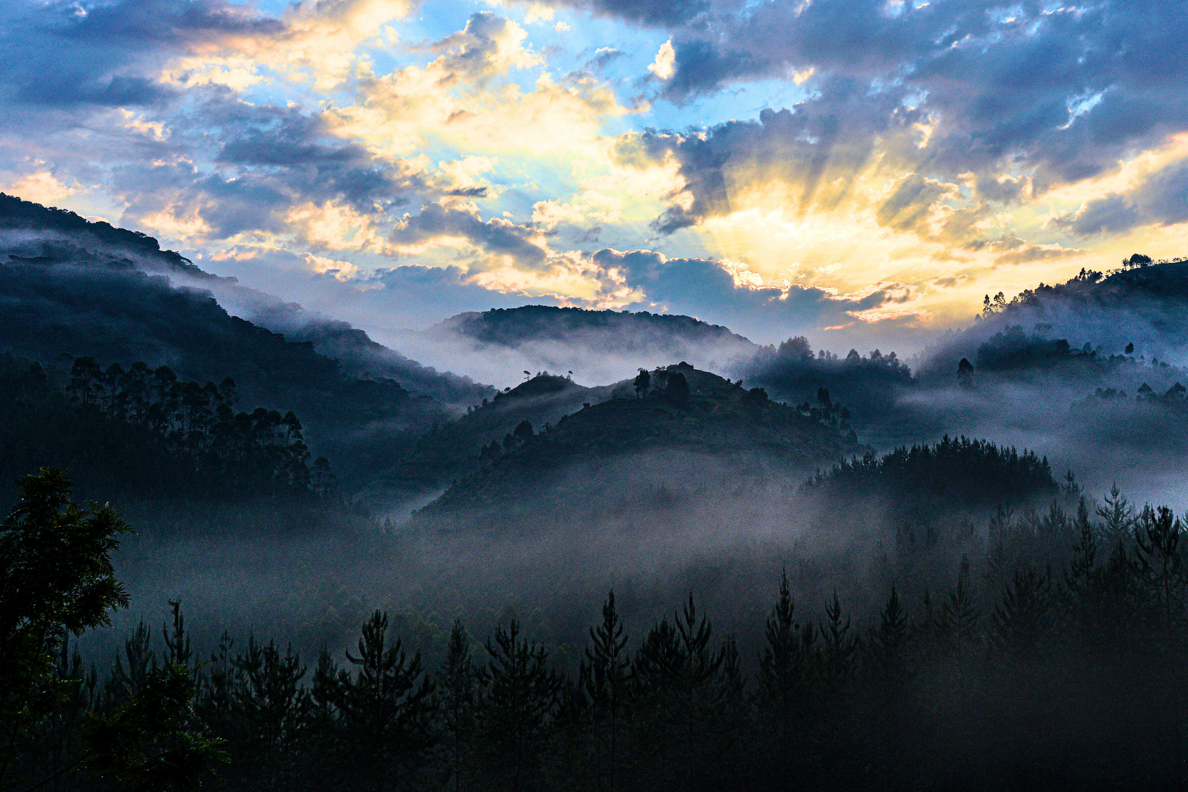 bwindi impenetrable forest national park (3).webp